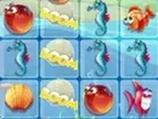 تطابق الاسماك