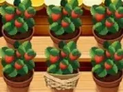 مزرعة الفراولة