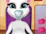 القطة المتكلمة انجيلا الحامل